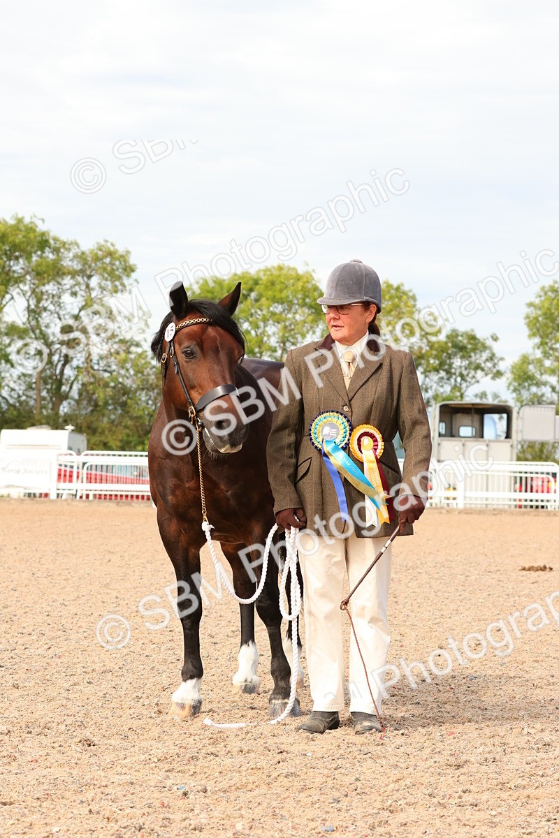 SBM_18066 - Class 707 - IH Groom - Helpers Glass