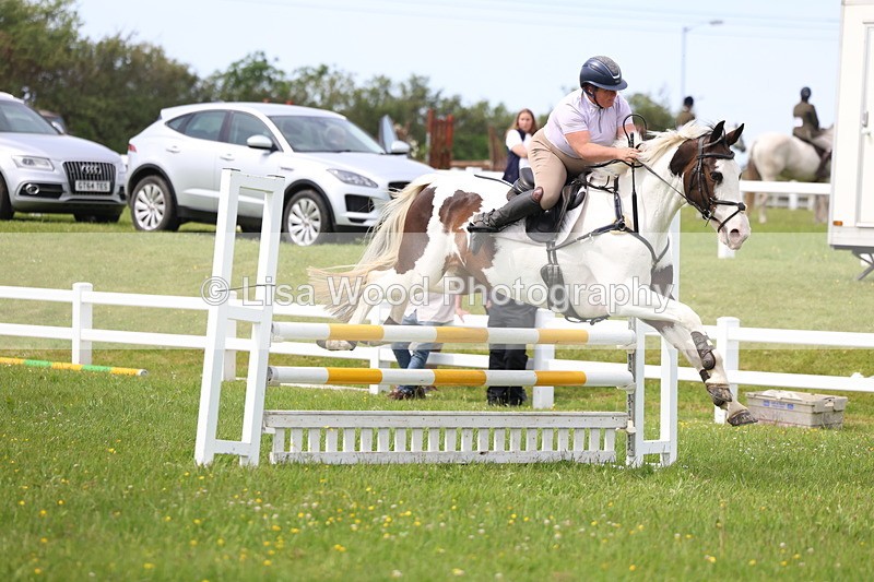 3E7A1850 - Class 13: Senior British Novice/90cm open