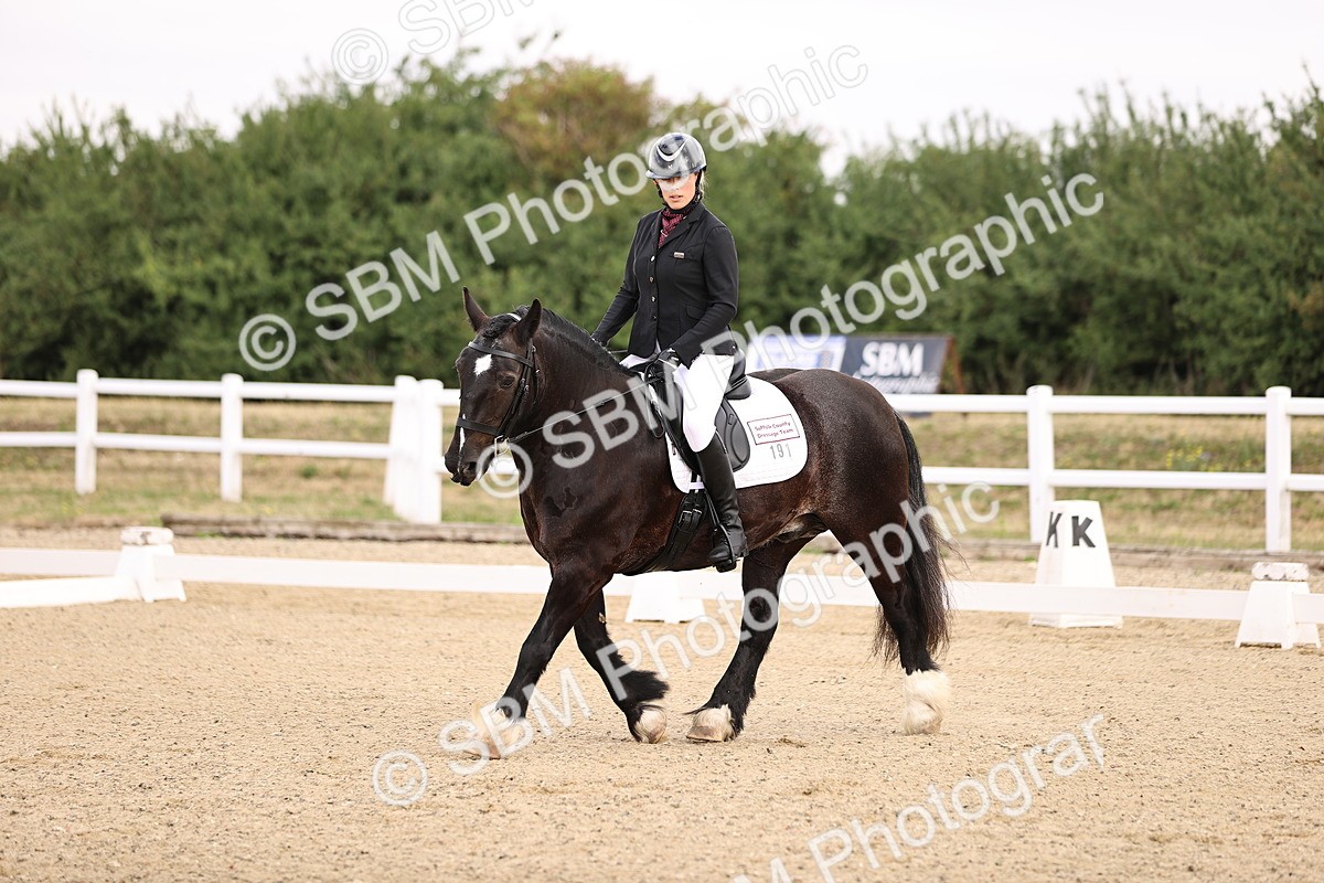 SBM_005201 - Intro 3 - 8.30-9.30