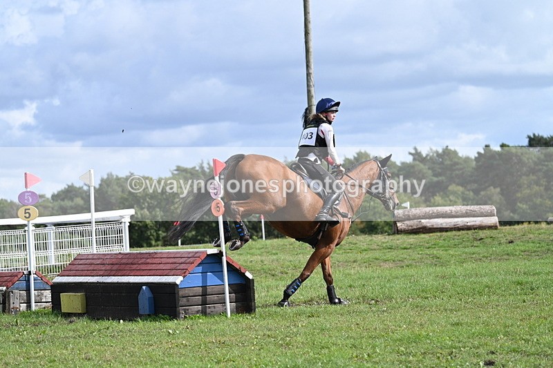 WJ7_2559 - Time 13:55 to 14:05