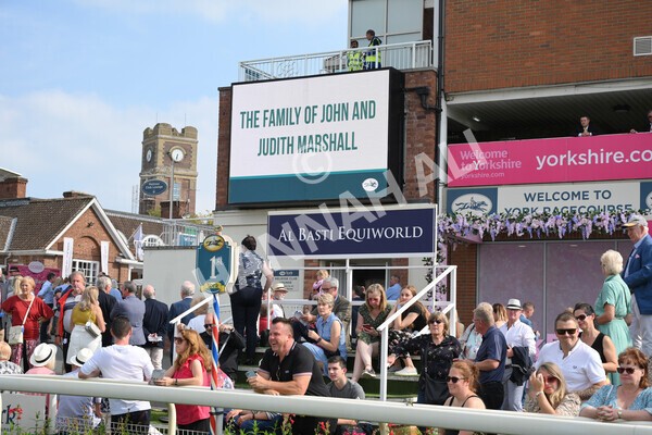 yr05092021r2-46 - Race 2 2.40pm John and Judith Marshall Memorial Stakes