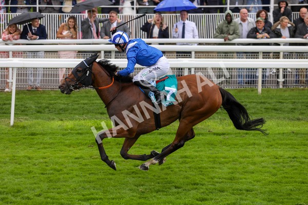 130724-Race 3-Enfjaar-2033 - Race 3 3.10pm John Smith's Cup Handicap