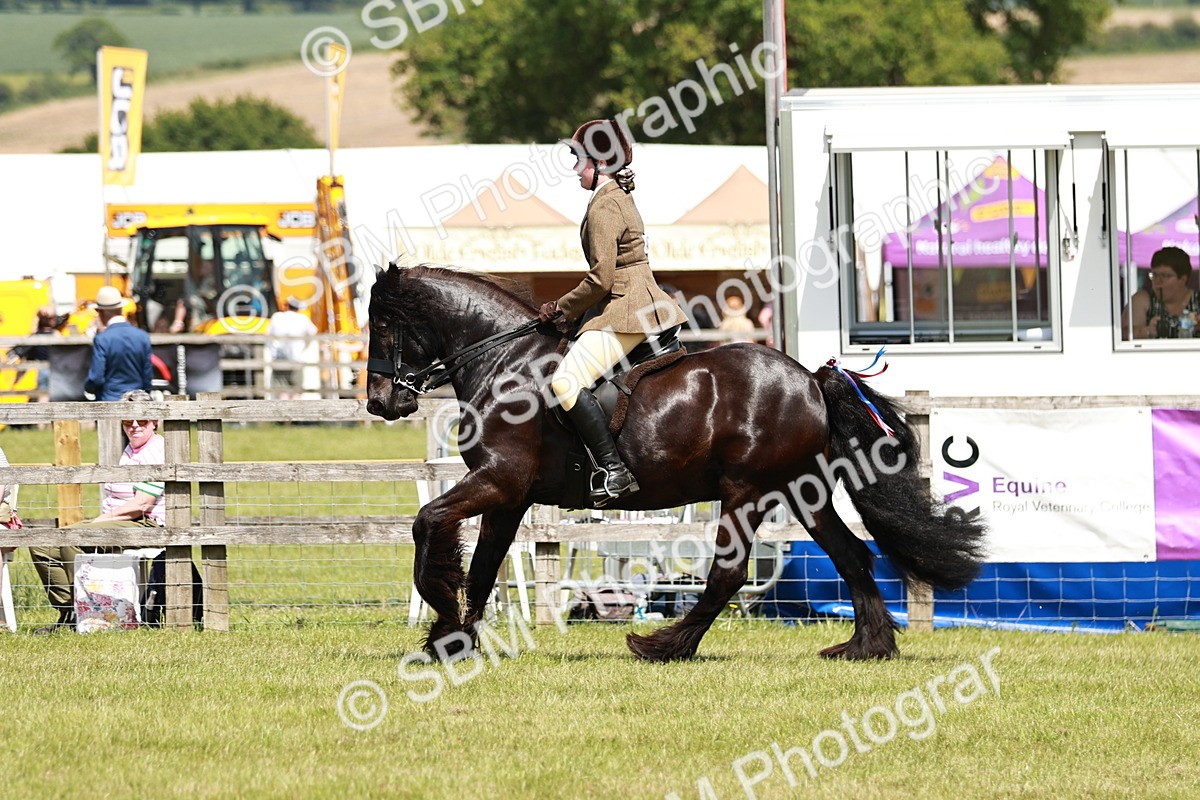 SBM_07127 - Class 26-30 - Mountain and Moorland Ridden