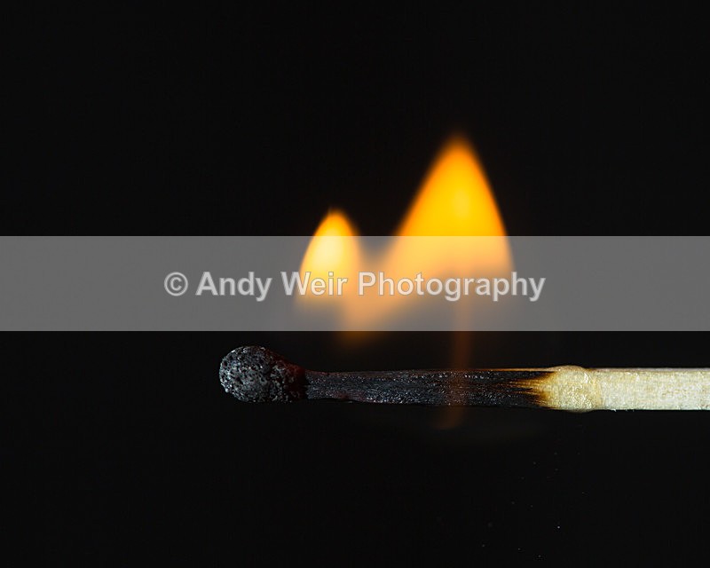 20140115-3K8A8200 - Miscellaneous Photographs