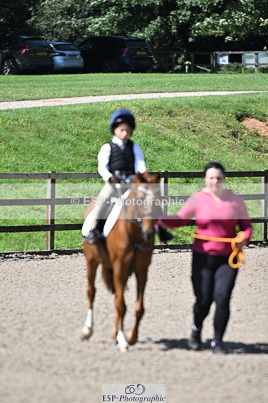 240729B-110528-02215 - Showjumping Competition