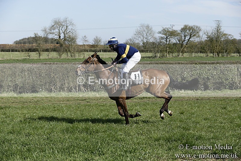 PtP 250317 111 - V.W.H. Hunt Point-to-Point Siddington 25/03/17