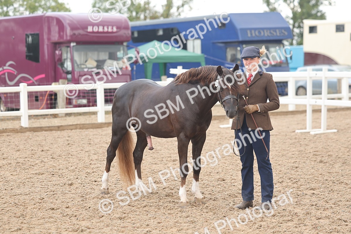 SBM_03278 - Class 16 - IH M&M Wildcard