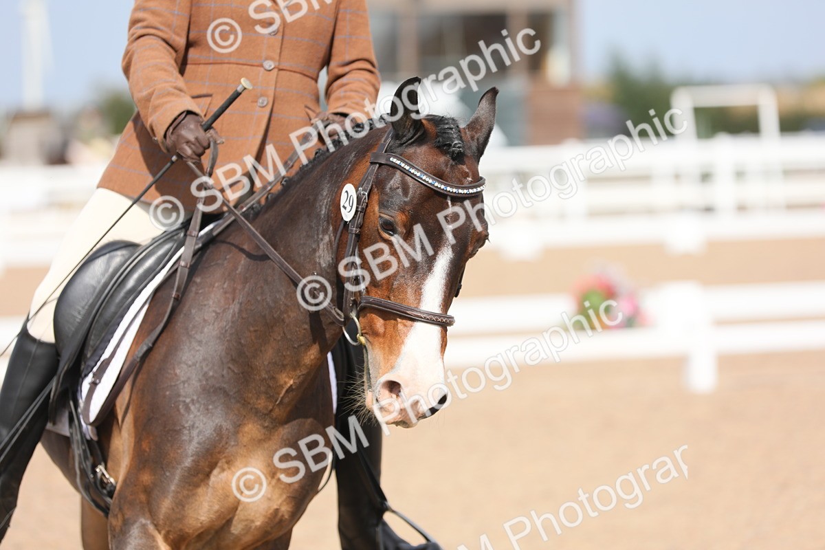 SBM_07510 - Class 33 Elementary 1