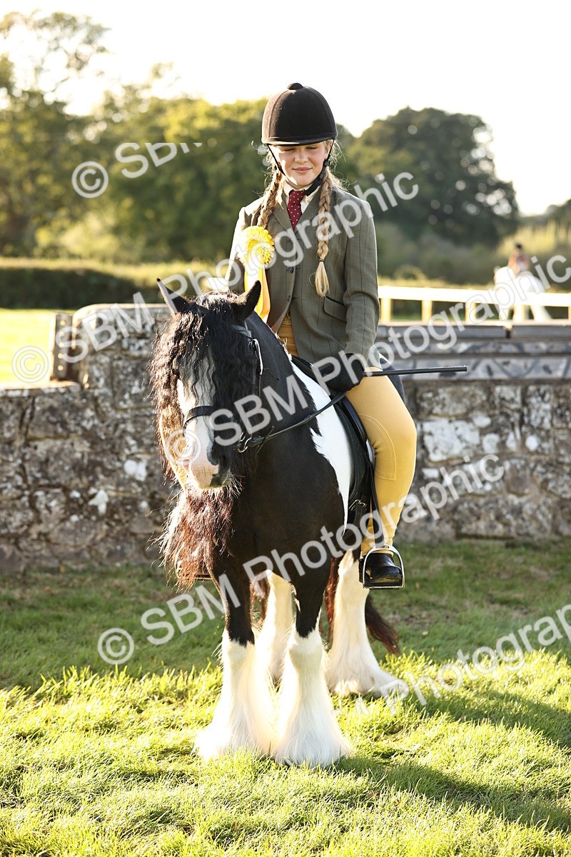 SBM_29513 - S7 - Novice & Newcomers Ridden Pony