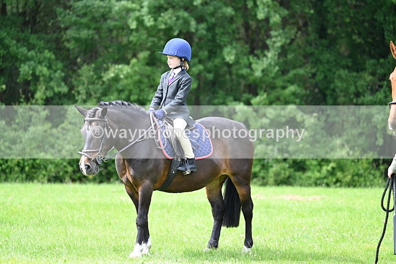 WJ7_1430 - Class 11 Condition & Turnout