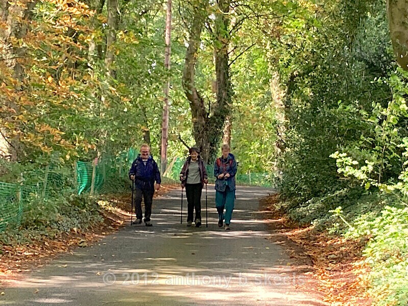 63 After passing Ladies Riggs and Eagle Hall onwards Bewerly - The Nidderdale Way Collection