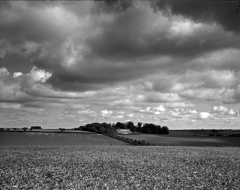 Near Kings Lynn Norfolk England - Monochrome