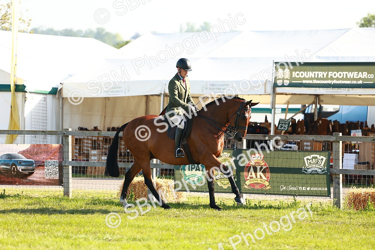 SBM_10746 - Class 66-69 - RIHS Ridden Hunters Inc Small Hunter