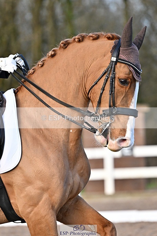 241214-145146-02988 - 109-Katharine.Lewis-Albertho.B