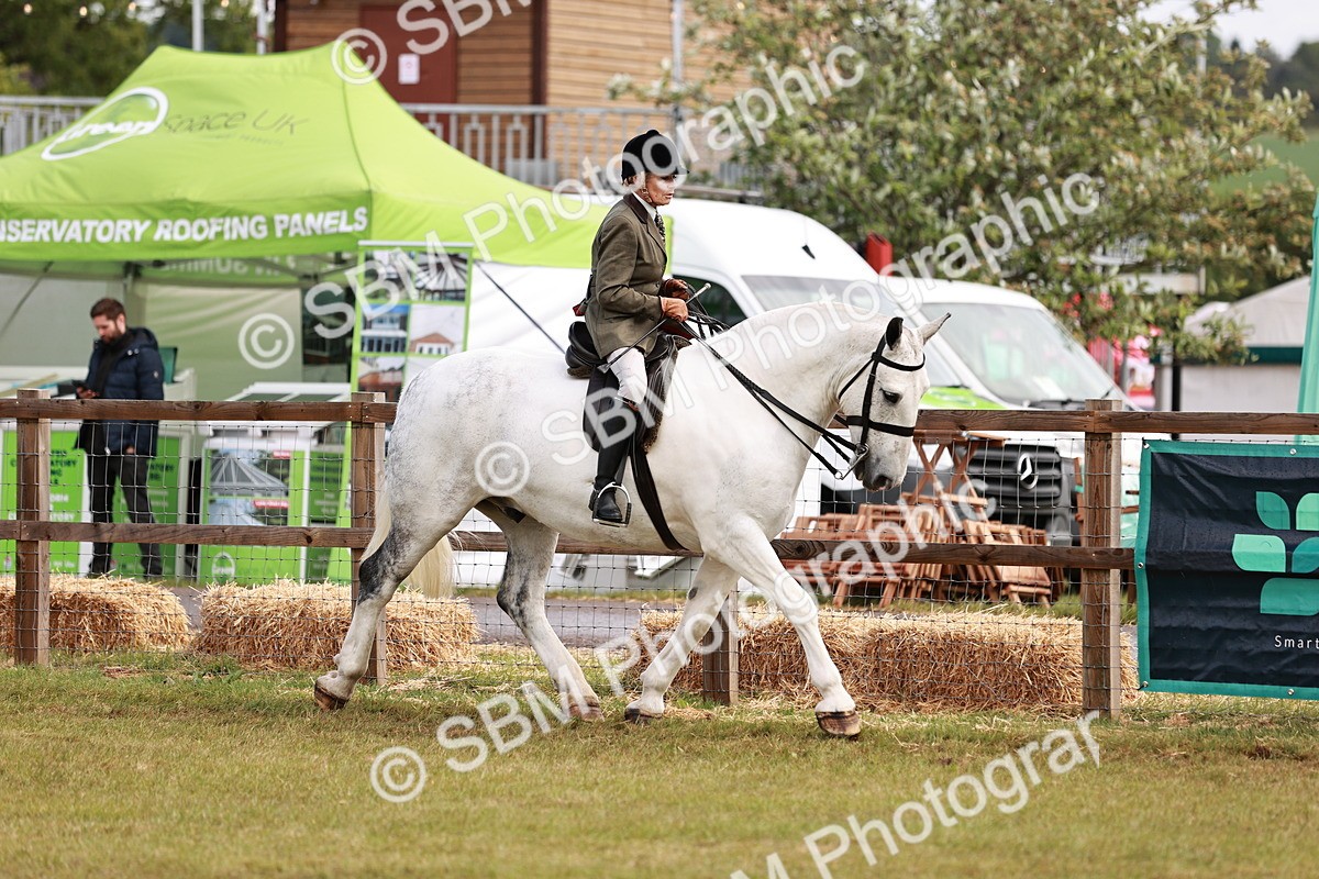 SBM_13067 - Class 85-87 - RIHS Cobs