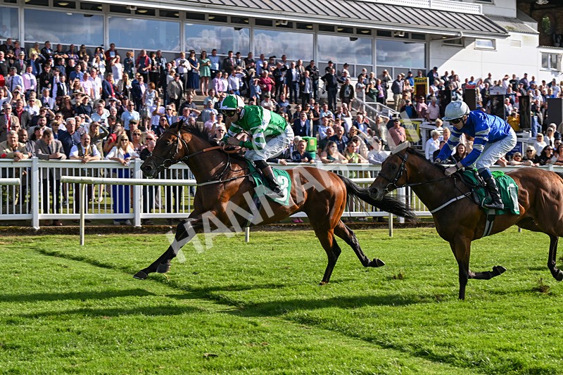 160824-Race 2-Dark Cloud Rising-8935 - Race 2