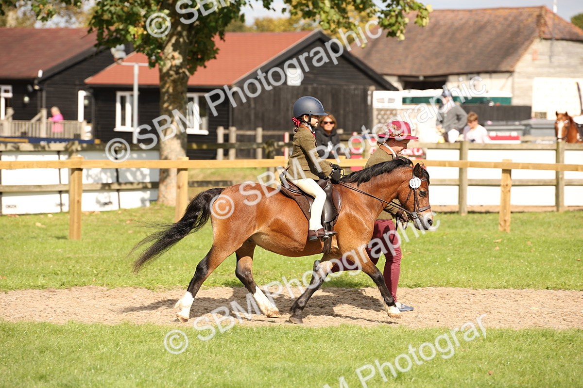 SBM_49991 - S26 - Young Veteran - Ridden