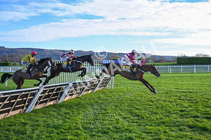 141224-Race 1-Moutarde-0330 - Race 1