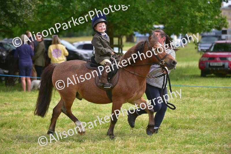 20260614-3994 - Class 16 - Handsome Gelding