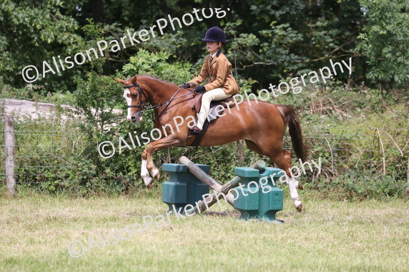 20260614-2818 - Class 22 - Open Working Hunter