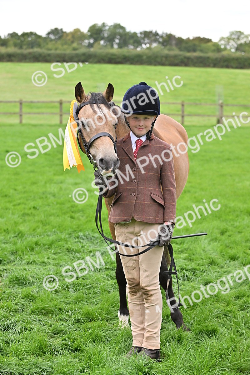 SBM_61092 - S48 - Mountain & Moorland In Hand Small Breeds