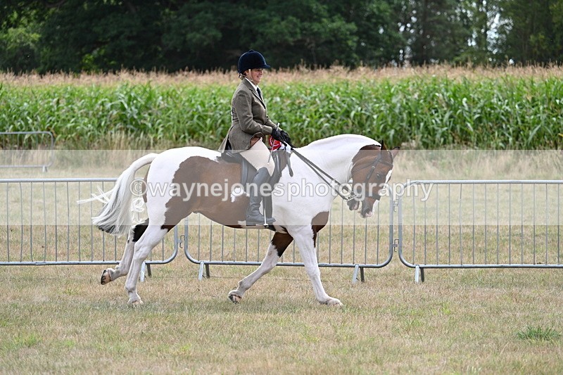 WJ7_5627 - Class 12 Ridden Cob
