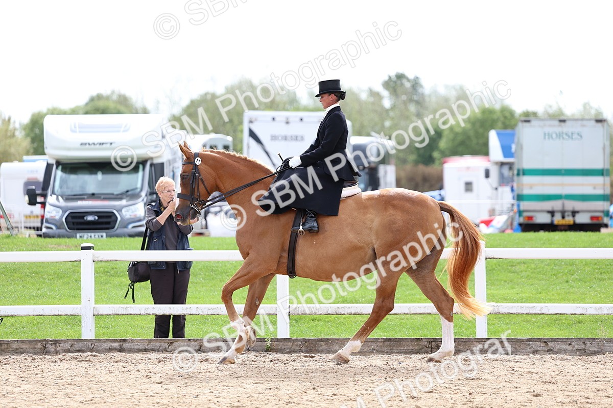 SBM_03331 - Class 23 - SSA Classical (any age)