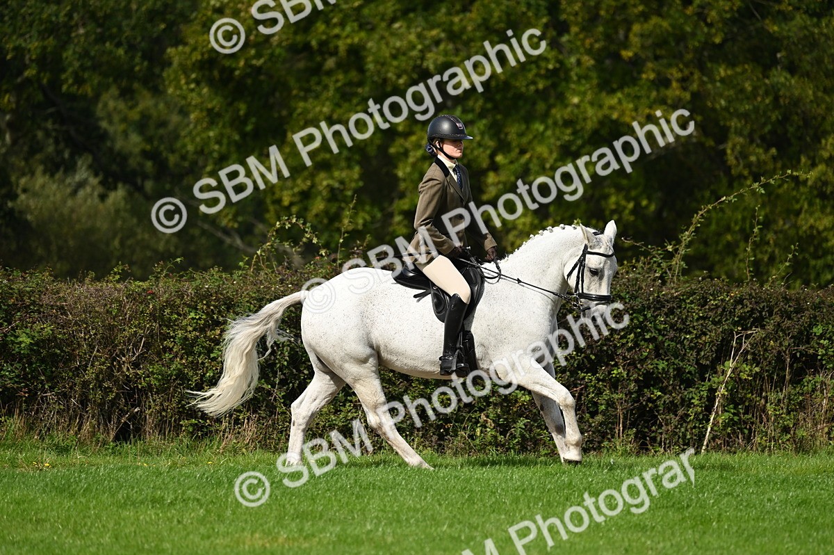 SBM_02642 - S3 - TSR Ridden Pony Showing