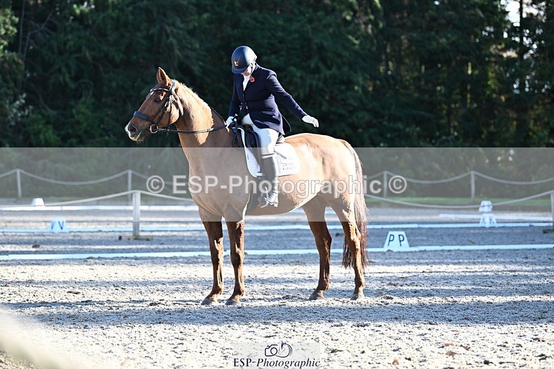 231110-131736-00906 - Cls 4 Novice 39Q