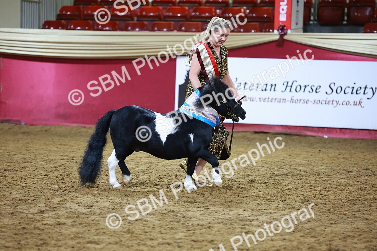 SBM_15318 - Class P - M&M Champ