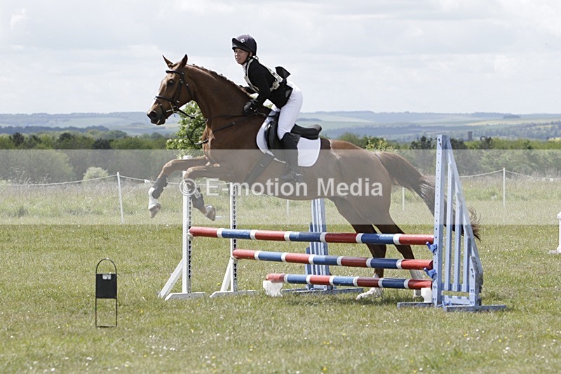 BVHT 140517 N-256 - Class 2 SJ Novice 14/05/17