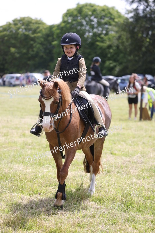 20260614-1990 - Class 21 - Novice Working Hunter Pony
