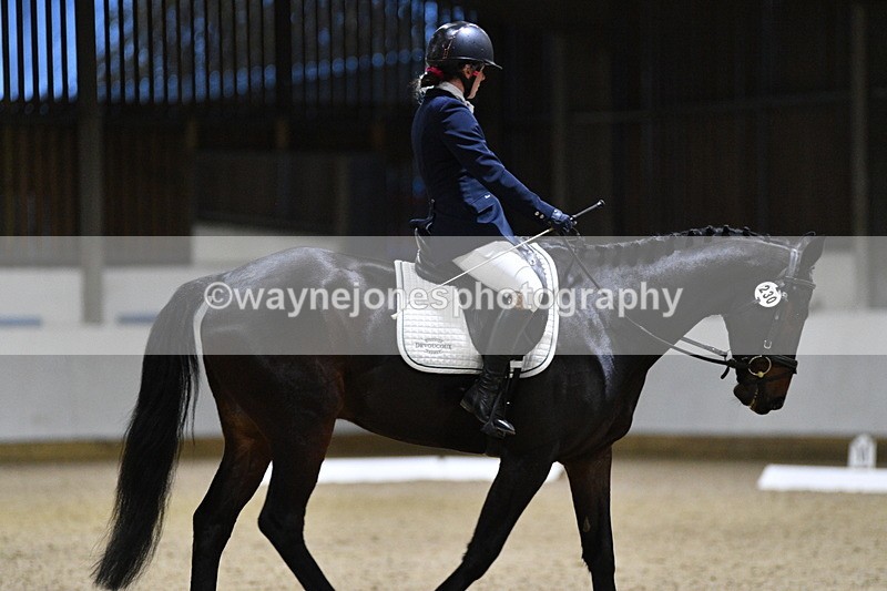 WJ5_8696 - Class 5 Novice Test 3