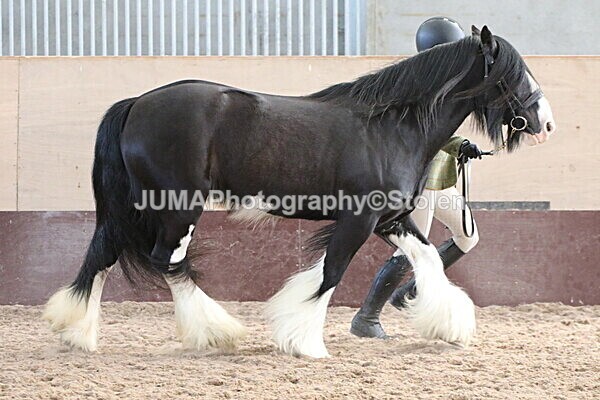 SIAL0011 - Indoor Classes