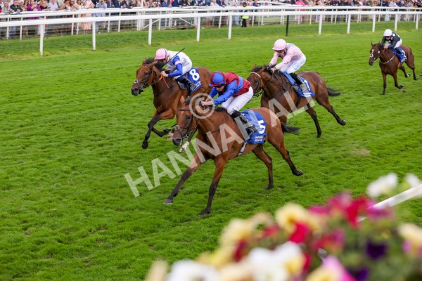 220824-Race 4-Content-7701 - Race 4 3.35pm Pertemps Network Yorkshire Oaks