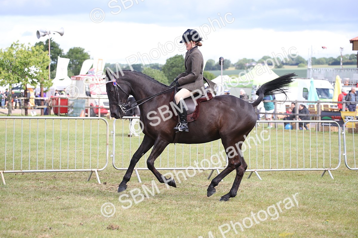 SBM_13246 - Class 95-96 - LIHS BSHA Rising Star Hack Riding Horse