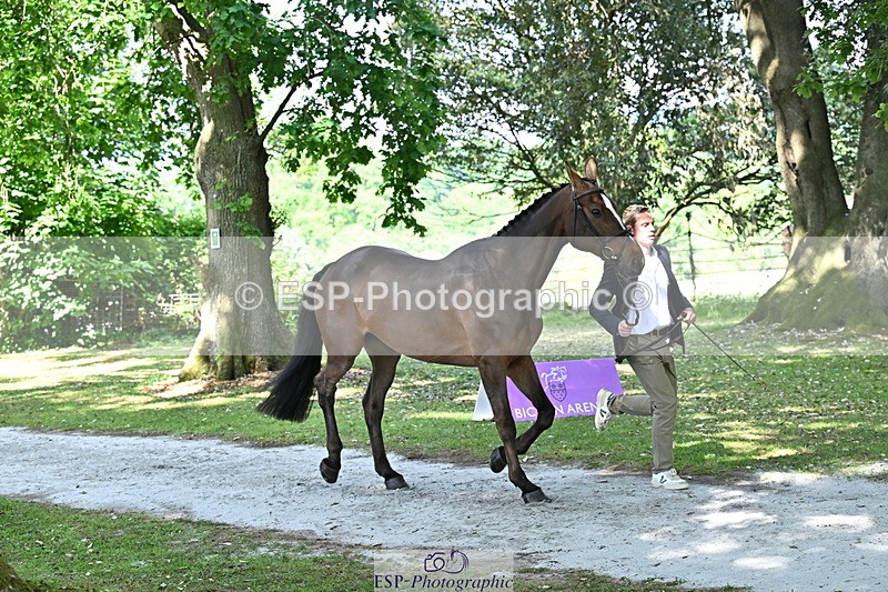 250521A-154907-00779 - B-371-Ben.Perry-FA.KARLA