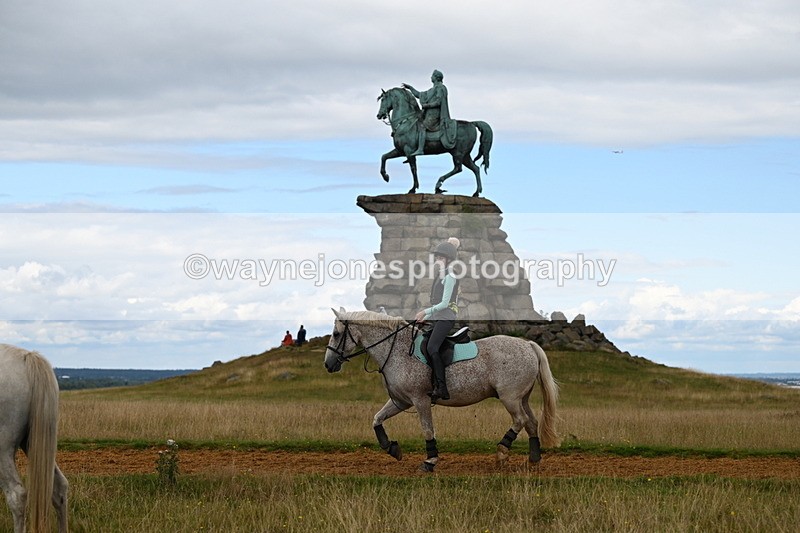 DSC_8639 - Time at Statue 13:52 to 14:33