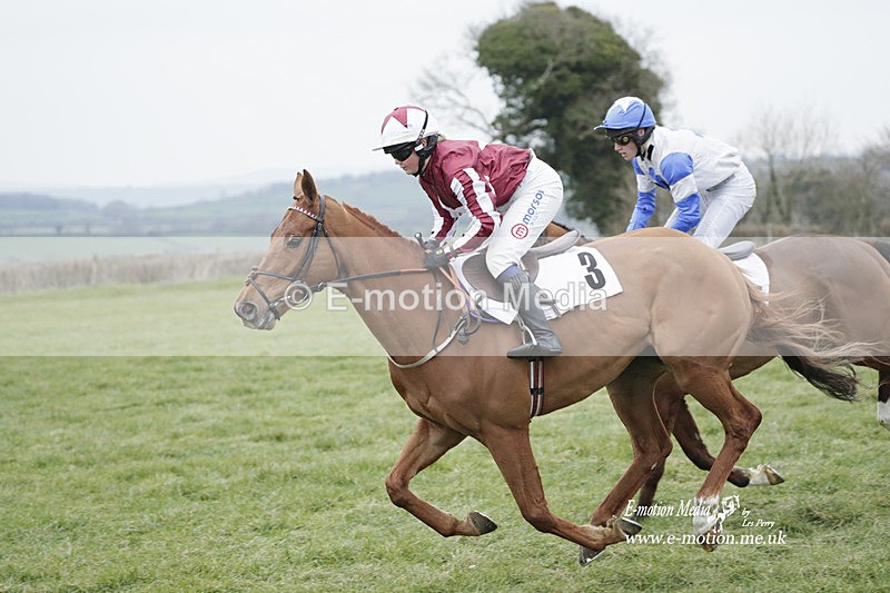 PtP 050323 664 - Blackmore & Sparkford Vale Hunt PtP - Somerset 05/03/23