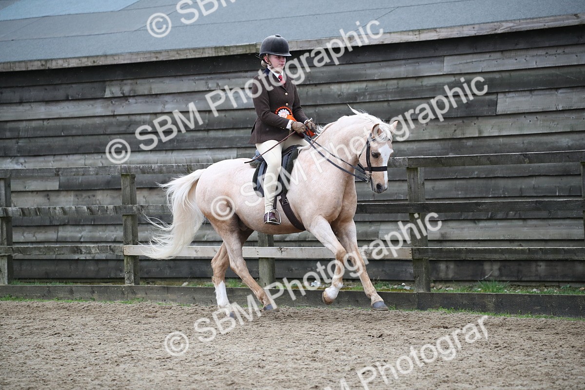 SBM_007331 - Class 10-13 - RIHS Small Large Breeds