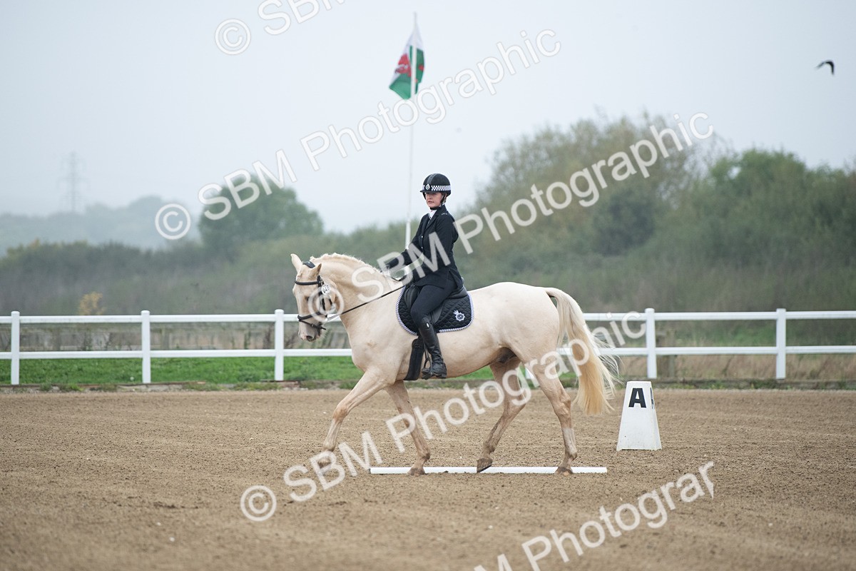 SBM_003346 - Introductory Test 3
