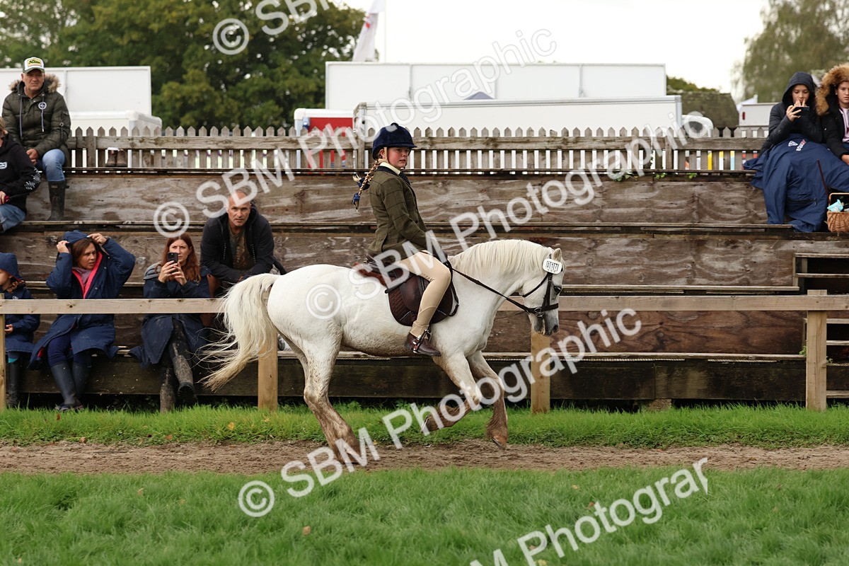 SBM_45006 - S27 - Young Veteran Ridden