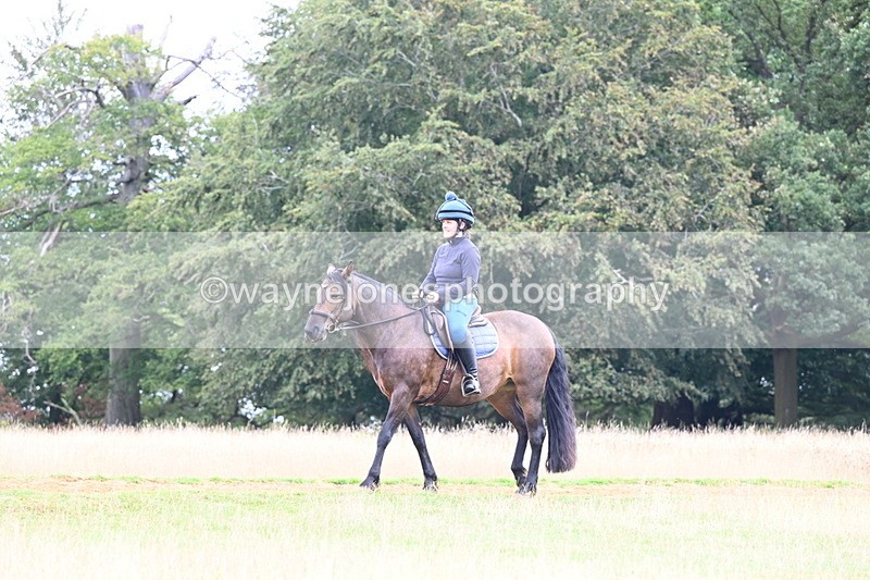 DSC_9345 - Time at Statue 14:33 to 15:10