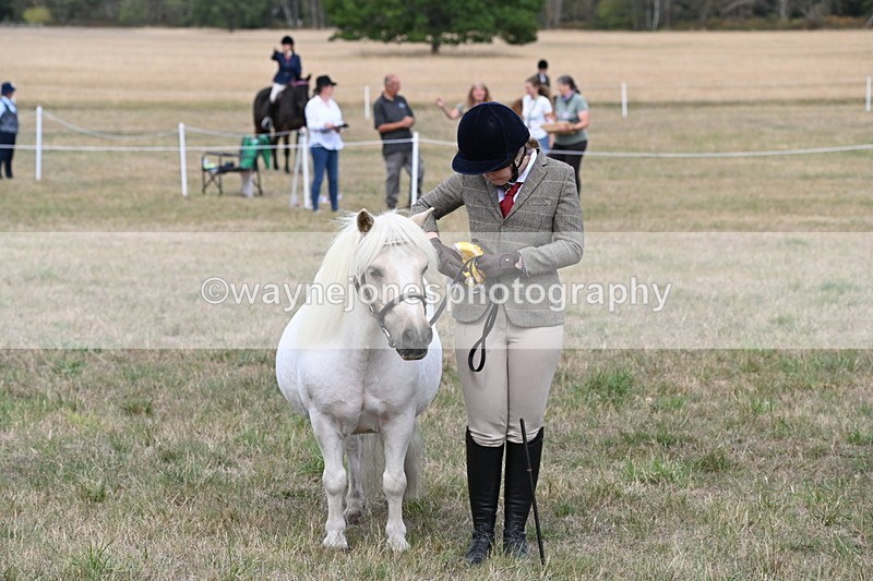 WJ6_6308 - Class 19 In-hand Veterans (Uploaded correct folder)