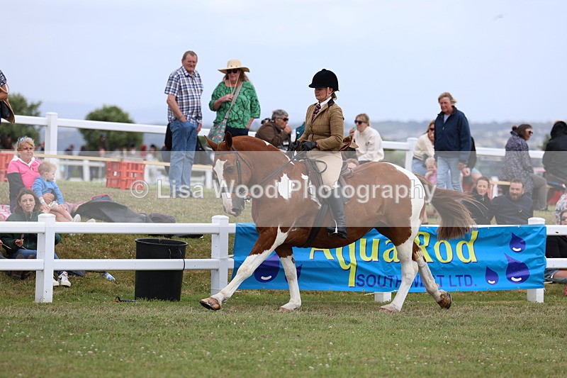 3E7A2023 - Class 10: Open Cob