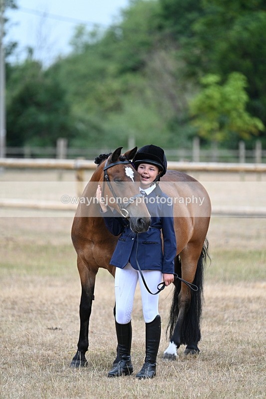 WJ7_9687 - Class 5 Most Handsome Gelding (up to 14.2hh)