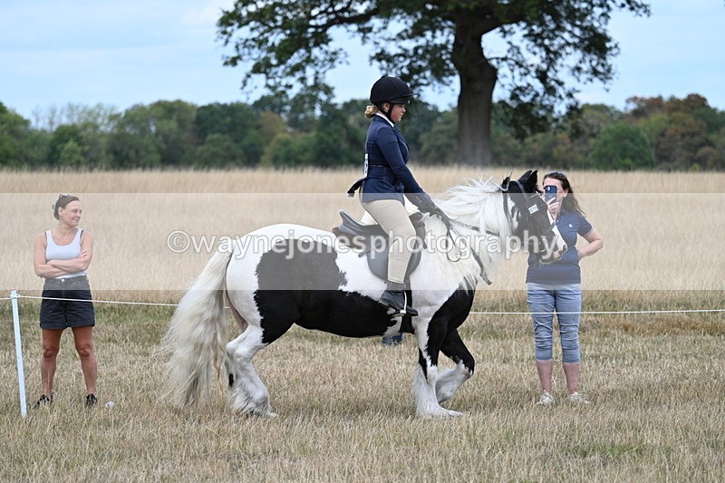 WJ7_4809 - Class 12 Ridden Cob