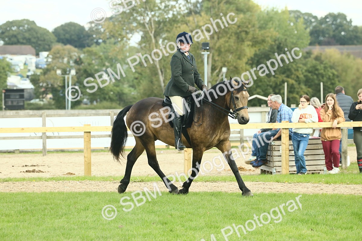 SBM_62629 - S63 - Other Coloured Horse Ridden