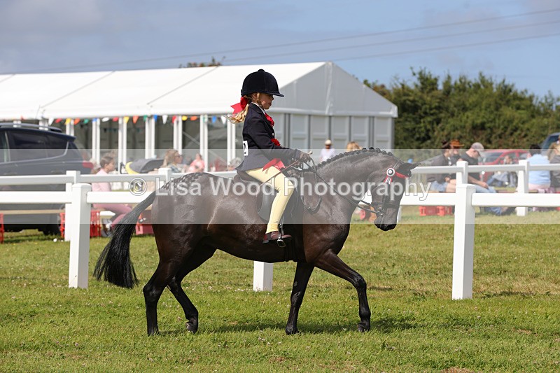 1X9A3787 - Class 30: First Ridden SP/SHP