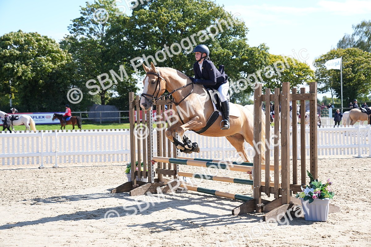 SBM_04859 - J56 - Clear Round 70cm